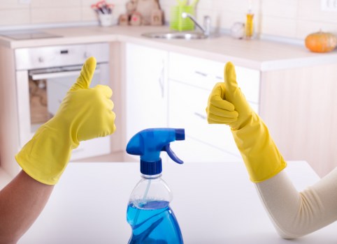 Professional upholstery cleaning for a sofa in an Enfield home