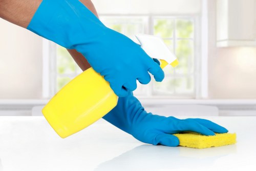 Commercial window cleaning service for Enfield business premises