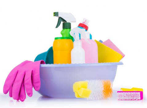 Carpet cleaning team preparing equipment before a service appointment