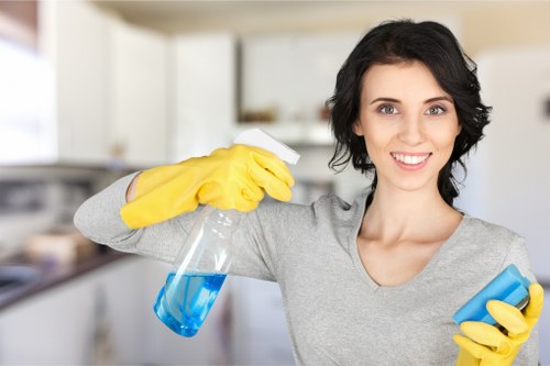 Fabric chair and sofa cleaning service in Enfield