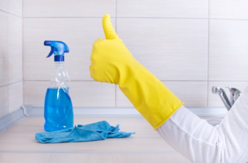 Carpet and sofa pet stain removal service in Enfield