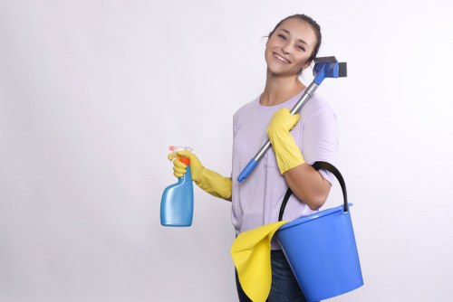 Clean residential windows and frames in Enfield