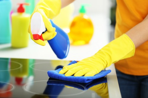 Preparing a rug for careful professional cleaning in Enfield