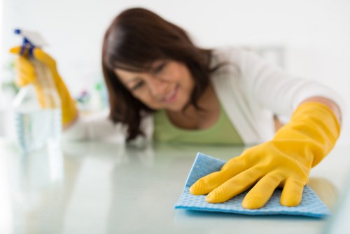 Professional Enfield carpet cleaners removing stains from a household carpet