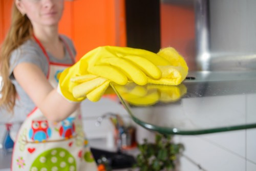 Deep cleaning visit for a family home in Enfield