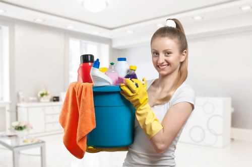 Cleaner maintaining a flat in Enfield with a routine visit